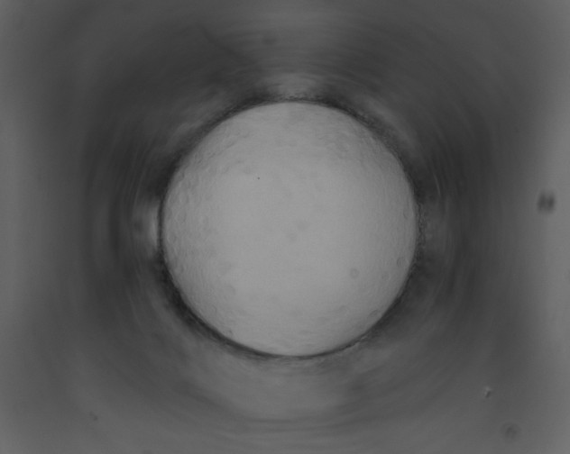 X0000093250028200710171436