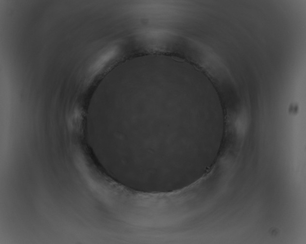 X0000093250029200710171436