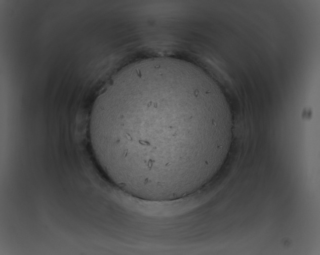 X0000093250030200710171436