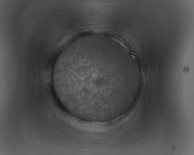 X0000093250032200710171436