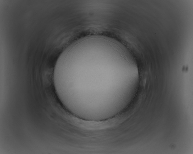 X0000093250034200710171436