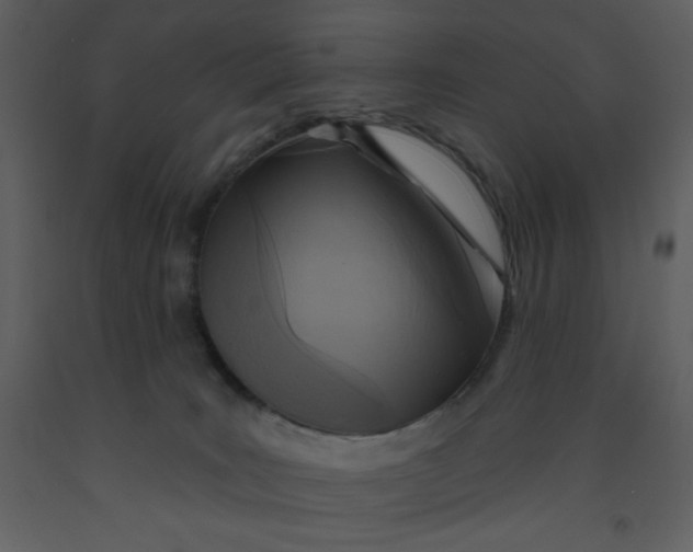 X0000093250035200710171436