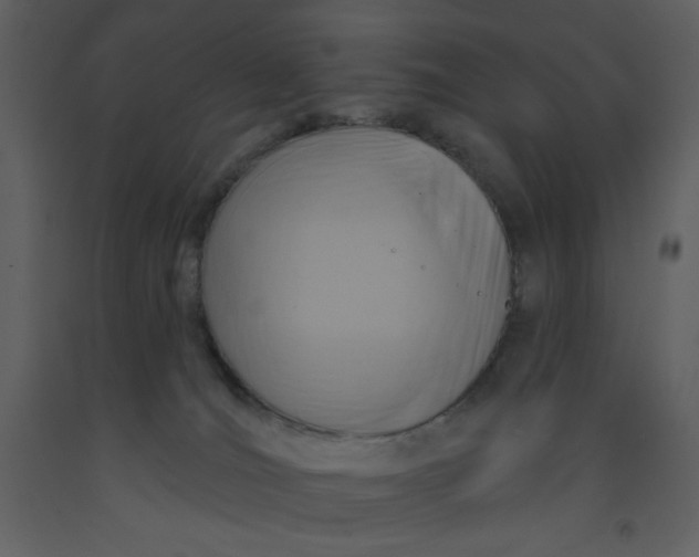 X0000093250036200710171436