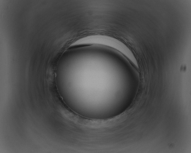 X0000093250037200710171436