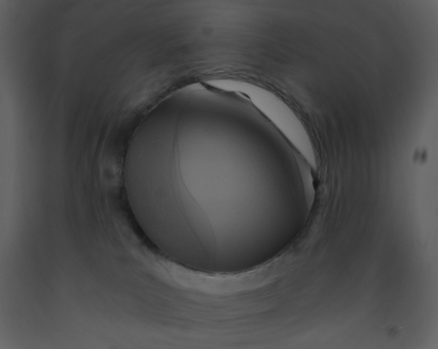 X0000093250039200710171436