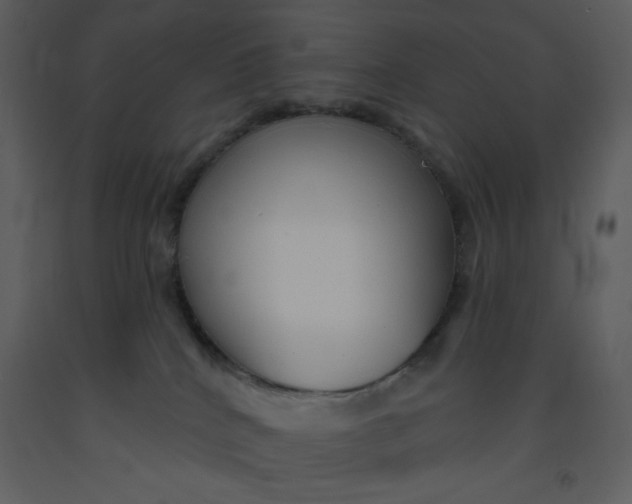 X0000093250040200710171436