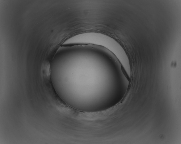 X0000093250041200710171436