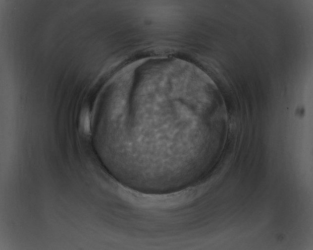 X0000093250046200710171436