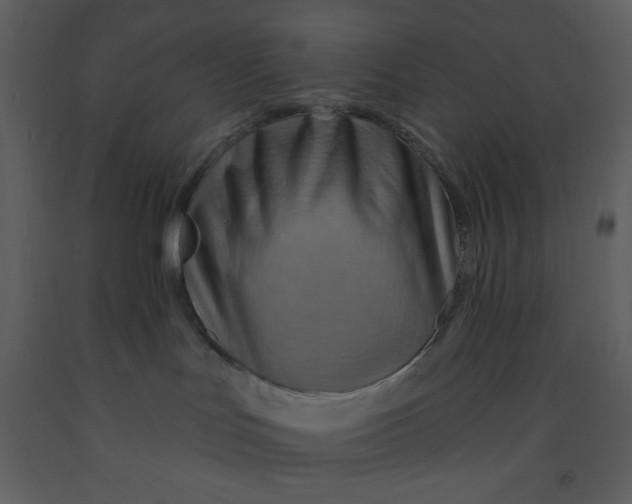 X0000093250047200710171436