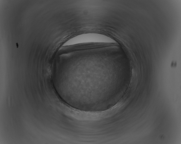 X0000093250048200710171436