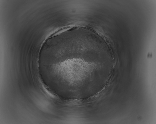 X0000093250050200710171435