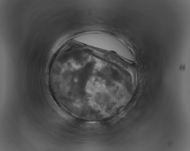 X0000093250053200710171435