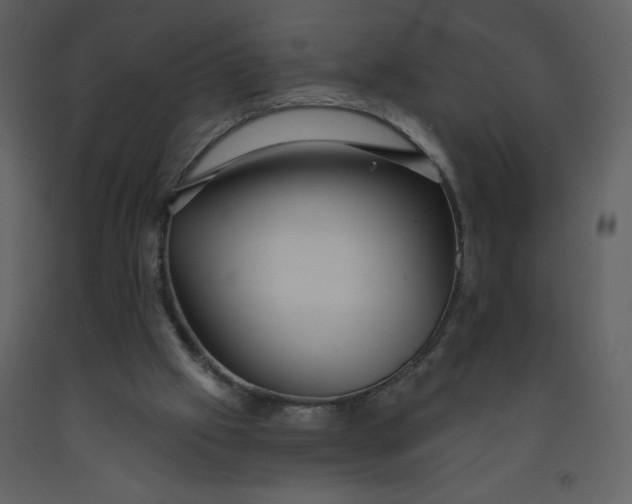 X0000093250057200710171435