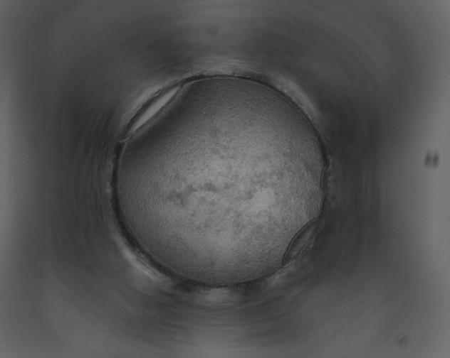 X0000093250058200710171435