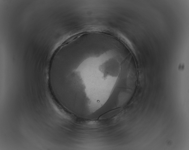 X0000093250059200710171435