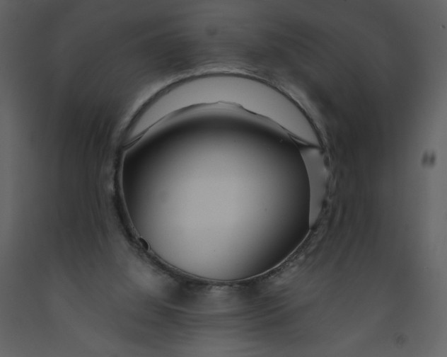 X0000093250060200710171435