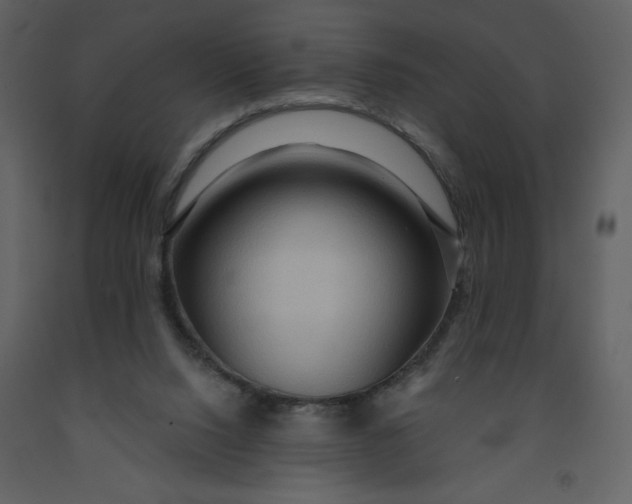 X0000093250064200710171435