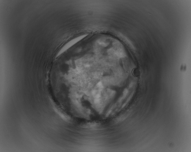 X0000093250065200710171435