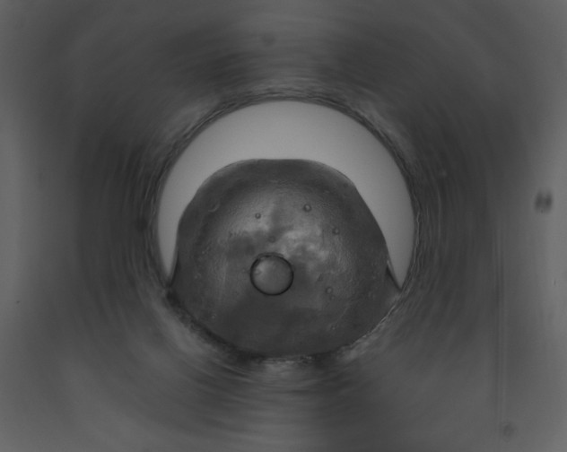 X0000093250070200710171435