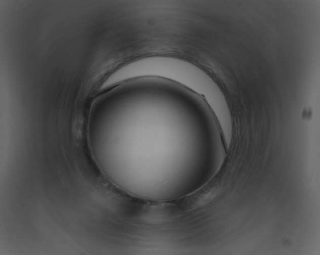 X0000093250072200710171435