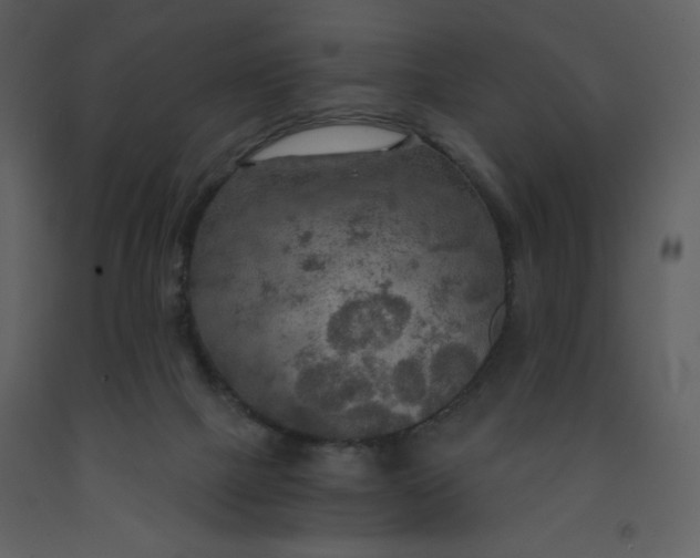 X0000093250073200710171435