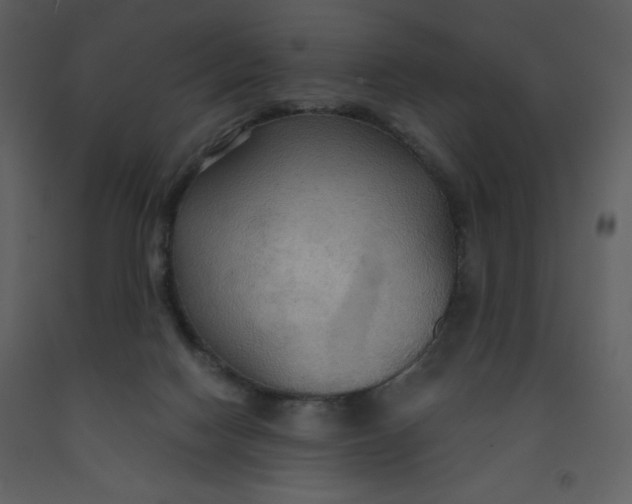 X0000093250074200710171435