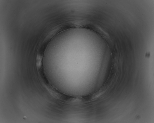 X0000093250075200710171435