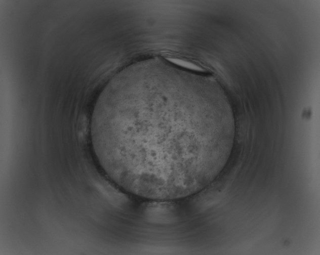 X0000093250077200710171435