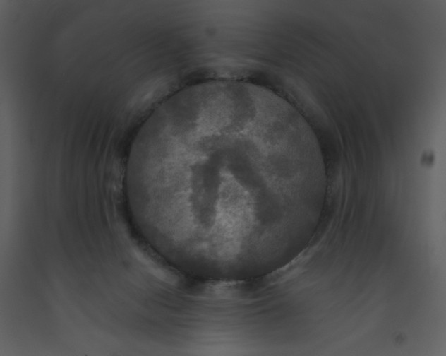 X0000093250078200710171435