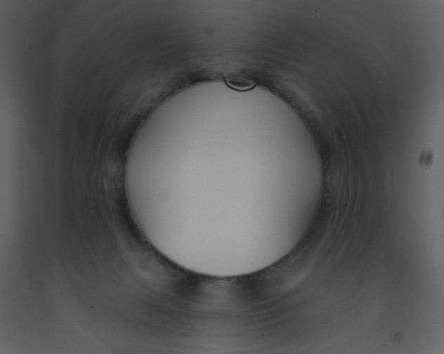 X0000093250079200710171435