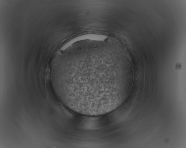 X0000093250081200710171435