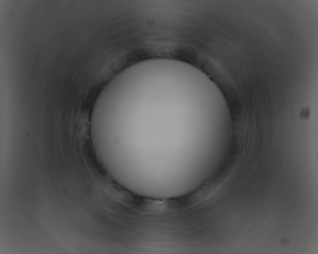 X0000093250083200710171435