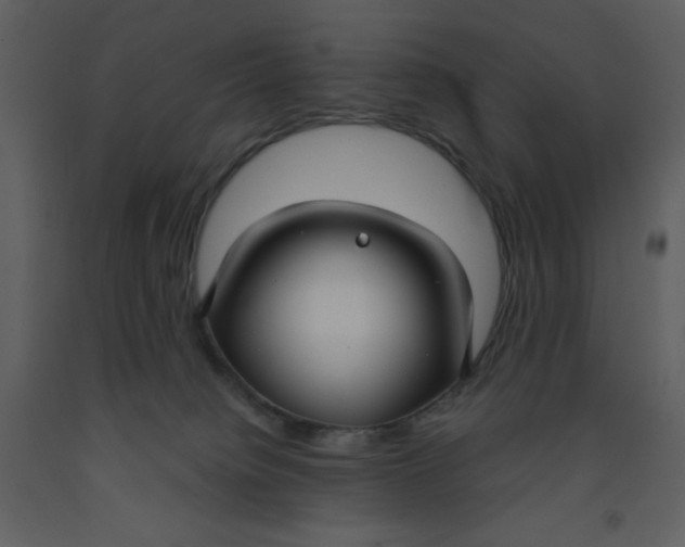 X0000093250084200710171435