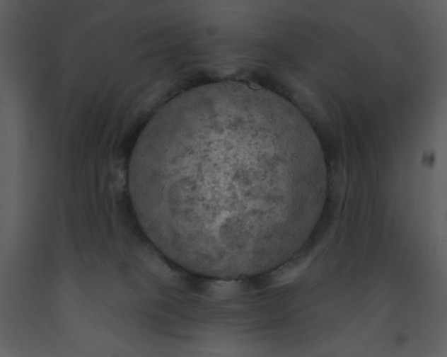 X0000093250085200710171435