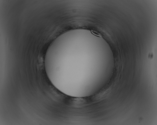 X0000093250087200710171435