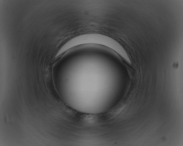 X0000093250088200710171435