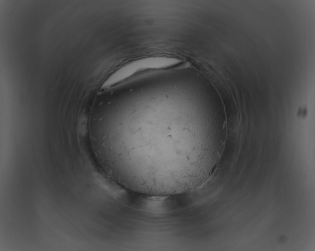 X0000093250090200710171436