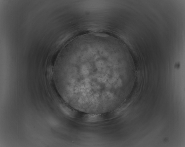 X0000093250093200710171436