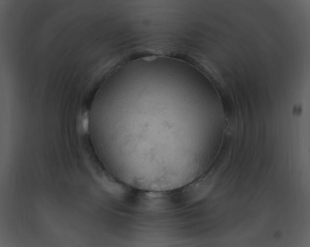 X0000093250095200710171436