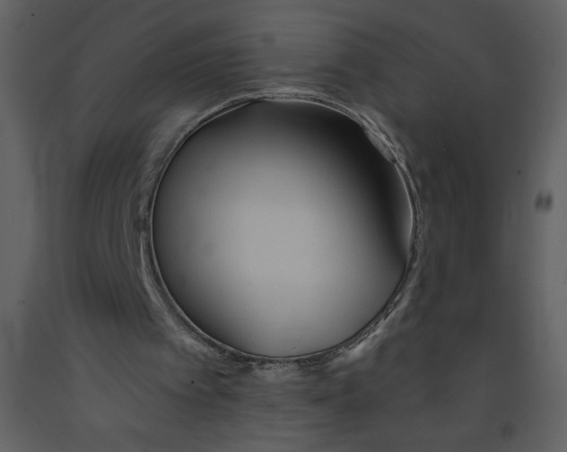 X0000093250097200710171435