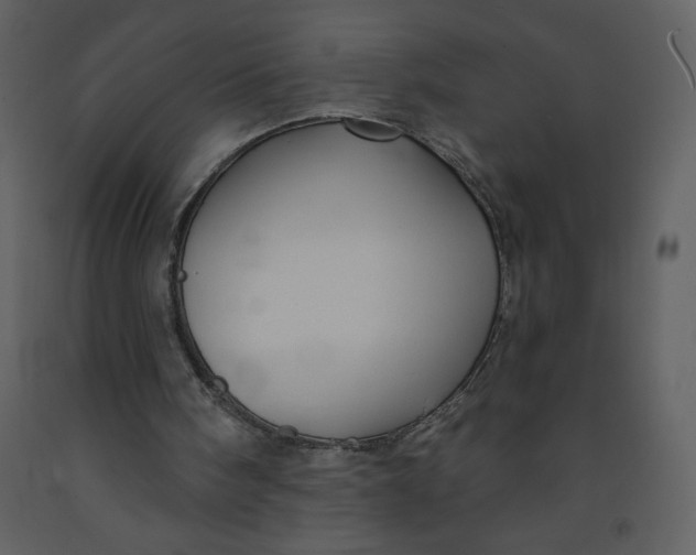 X0000093250098200710171435