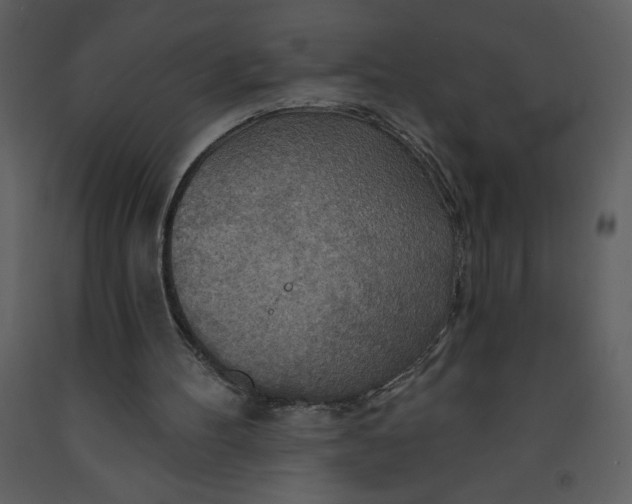 X0000093250100200710171435