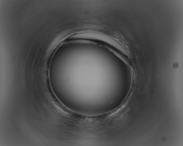 X0000093250101200710171435