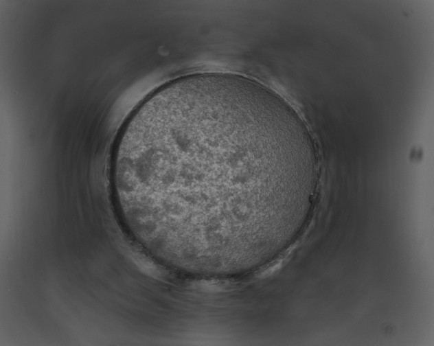 X0000093250103200710171435