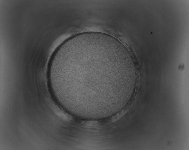 X0000093250104200710171435