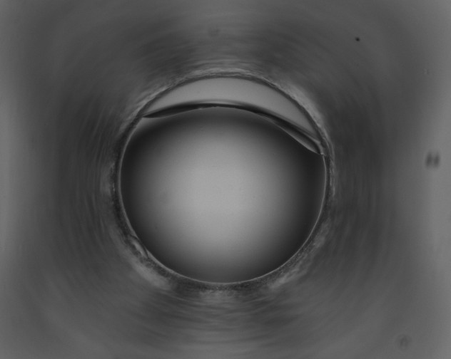 X0000093250105200710171435