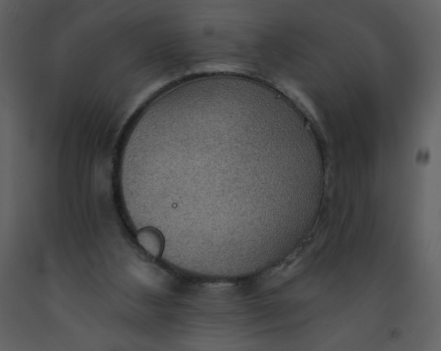 X0000093250108200710171435