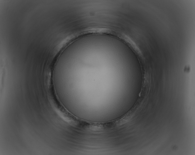 X0000093250110200710171435