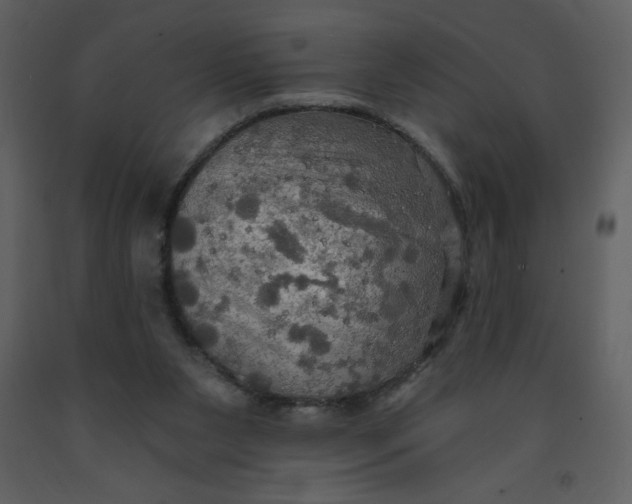 X0000093250111200710171435