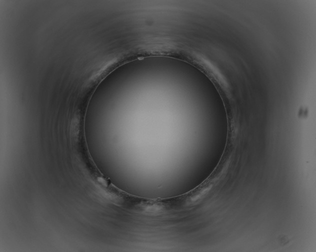 X0000093250113200710171435